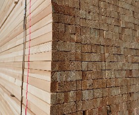 Pine Wood Timber