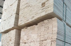 Scaffolding LVL Board