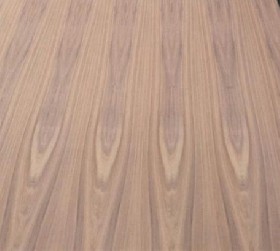 Tzalam Veneer Fancy Plywood