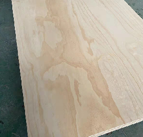 pine plywood