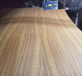 Parota plywood