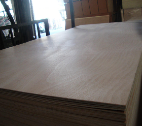okoume plywood