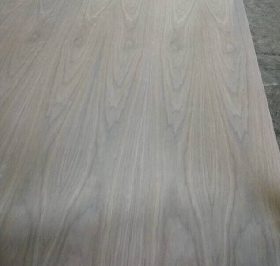 black walnut plywood