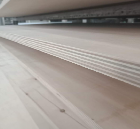 MAPLE PLYWOOD